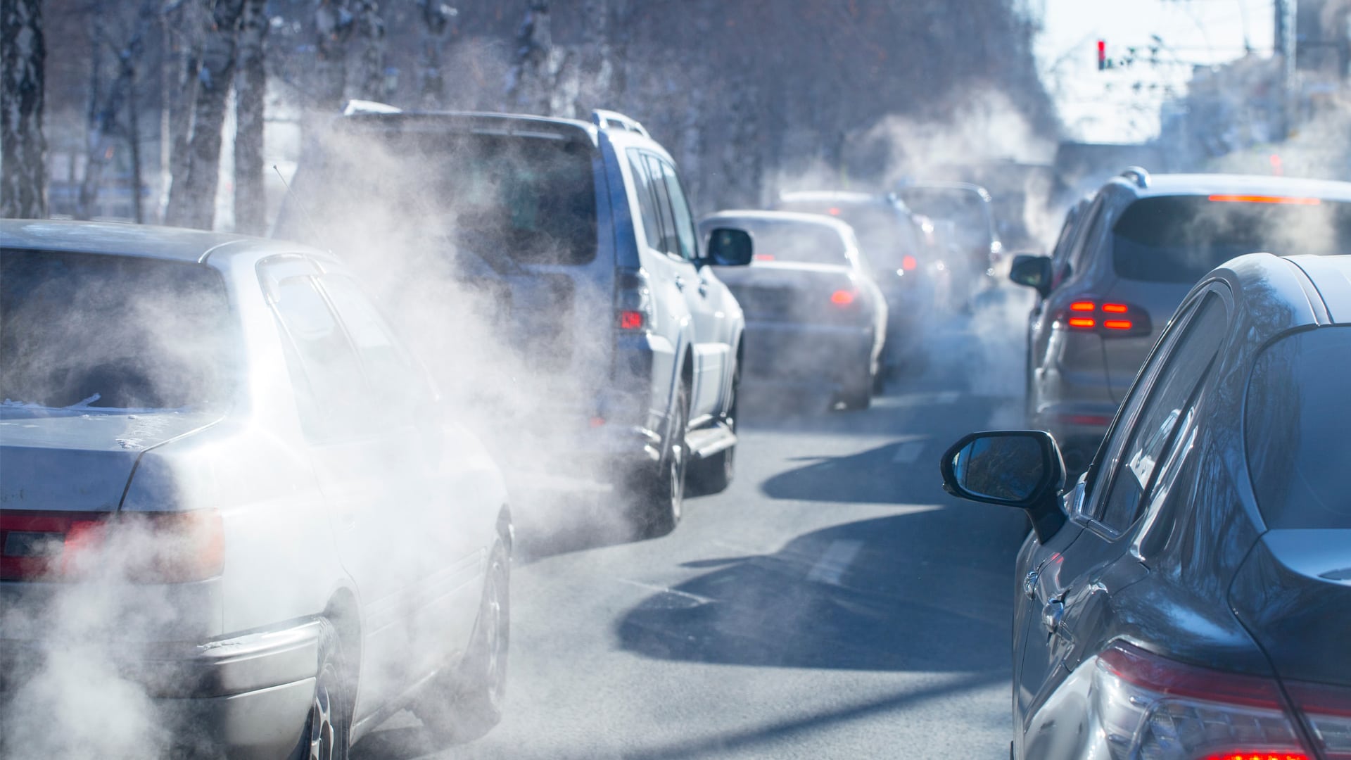 Can flexible working save the environment?